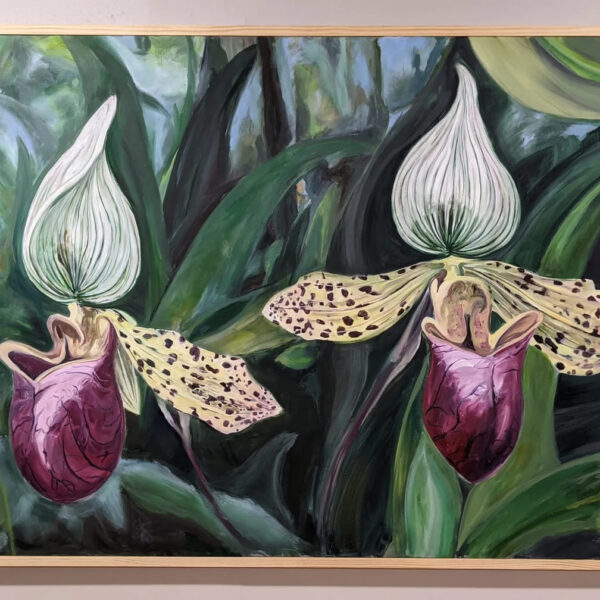 Edward Obermueller Friendship (Lady Slippers)